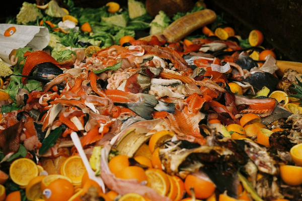 Les Pays-Bas et la Suède alertent l’UE sur le gaspillage alimentaire